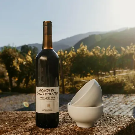Casa Da Adega - Quinta Da Portela 3*