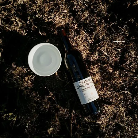 Casa Da Adega - Quinta Da Portela 4*