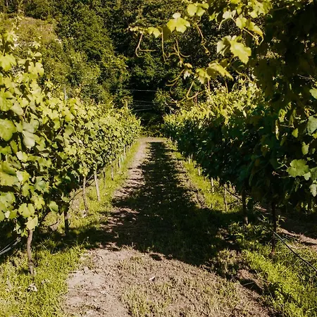 בית הארחה Casa Da Adega - Quinta Da Portela טראס דה בורו