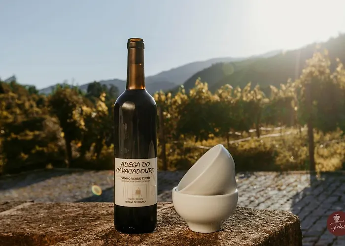 Casa Da Adega - Quinta Da Portela 4*