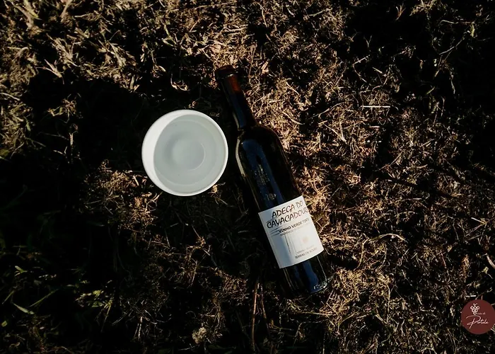 Casa Da Adega - Quinta Da Portela 4*