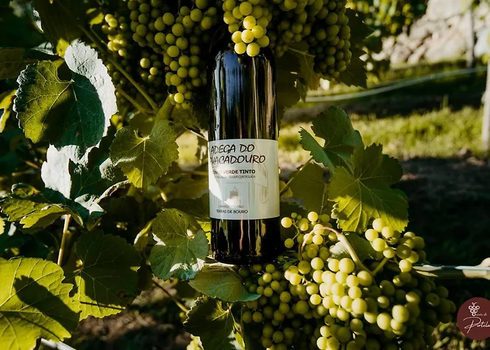 Casa Da Adega - Quinta Da Portela 4*