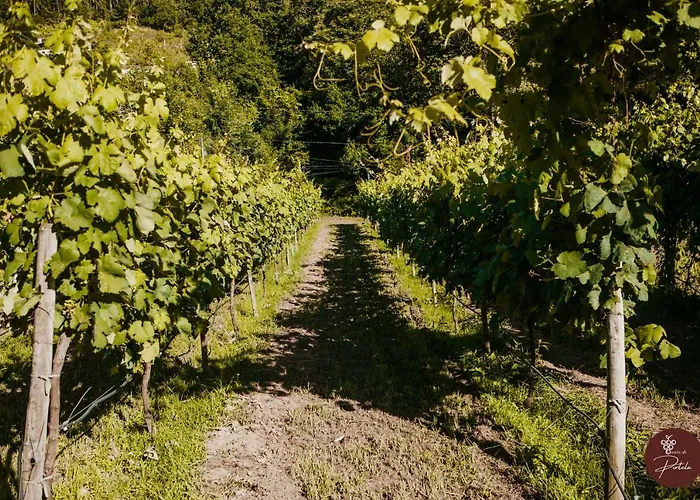 Gasthof Casa Da Adega - Quinta Da Portela Terras de Bouro