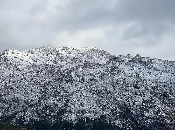 Casa Da Adega - Quinta Da Portela Gasthof 4*